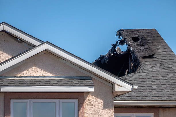Top rated local Fire Damage Removal specialists in North Bend, OH